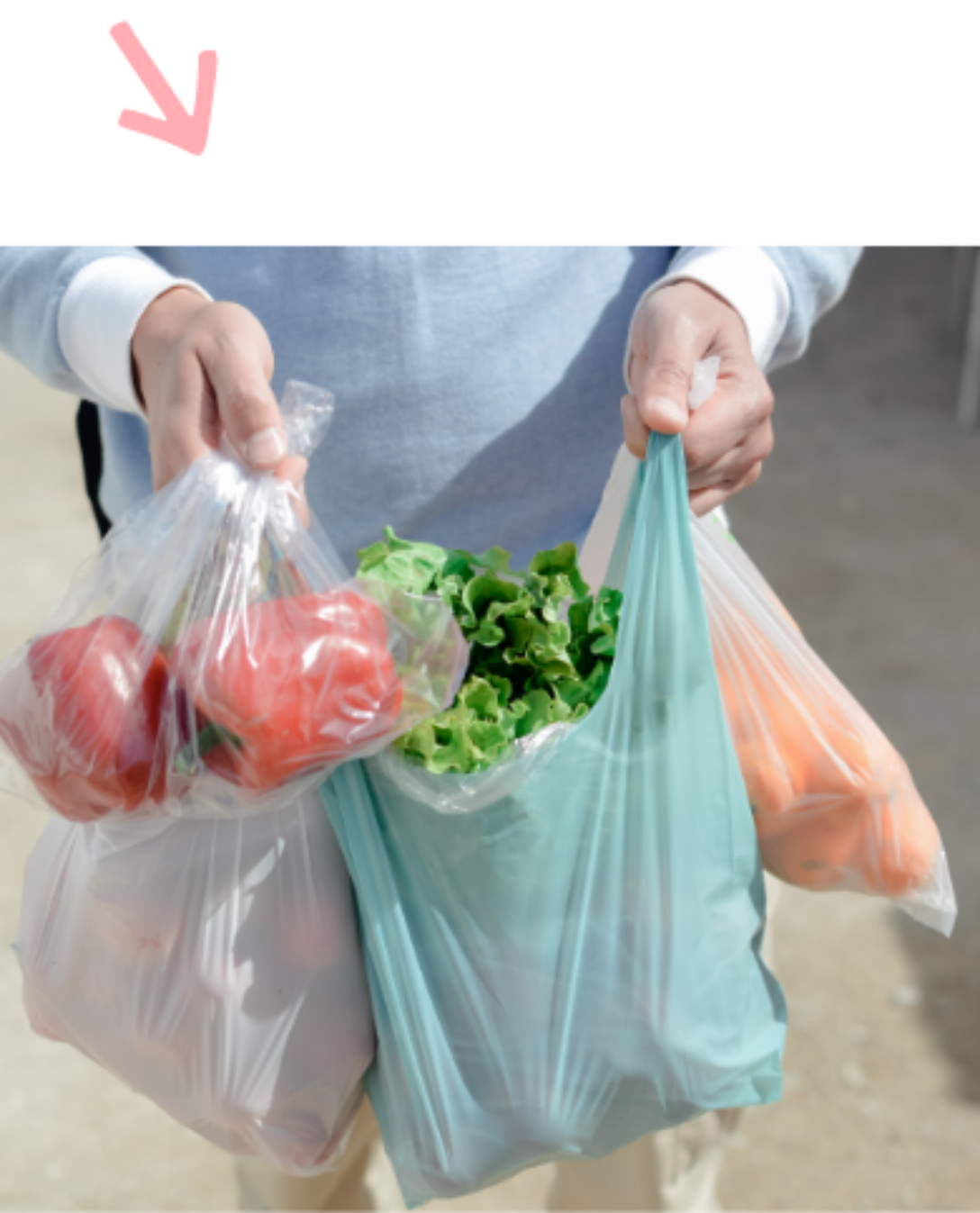 Voedsel bedelen